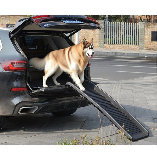 Dog pet ramp plastic folding - ramp,