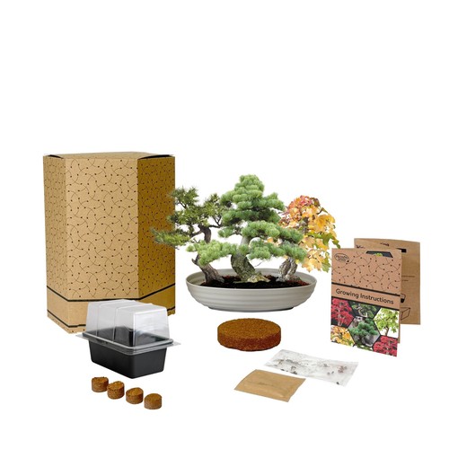Grow your own - own, bonsai
