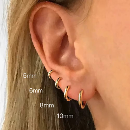 Pair hoop earrings - hoop,