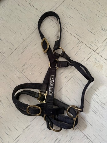 Monty roberts medium dually - monty,