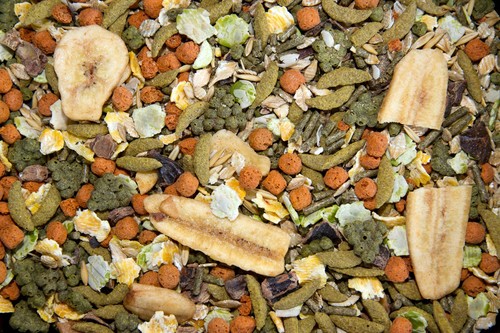 Rabbit food fruity mix - rabbit,