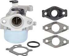 799871 Carburetor for Briggs &