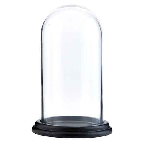 Glass display cloche bell - display,