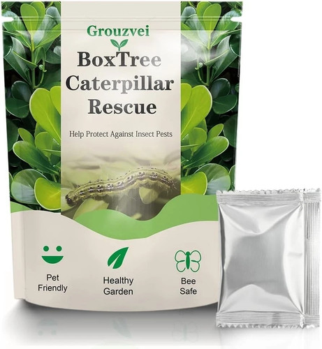 Box tree caterpillar - box, treatment