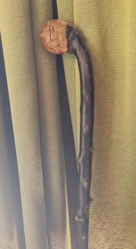 Antique walking stick cane - walking,