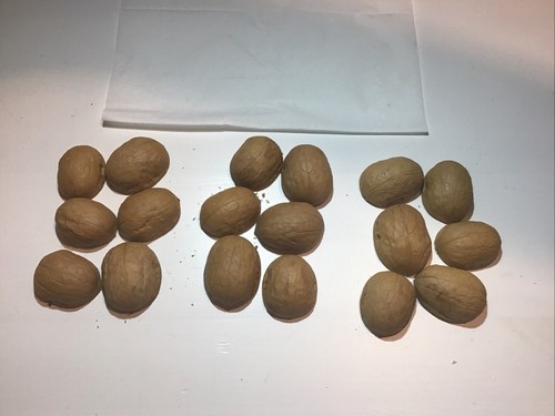 Walnut shells perfect halves - perfect,