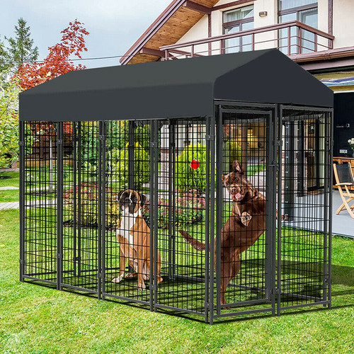Heavy duty tall dog - tall, large