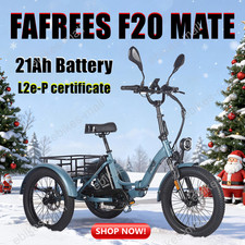 Heavy-Duty Electric Trike