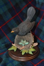 Country Artists Blackbird with