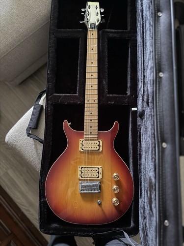 1982 washburn bird wing - washburn, t-bird