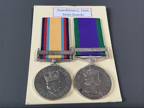 Gulf war medal pair 24824505 - medal,