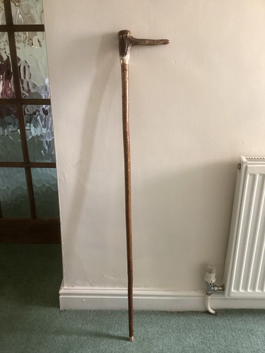 Walking stick hiking pole - stick,hiking,