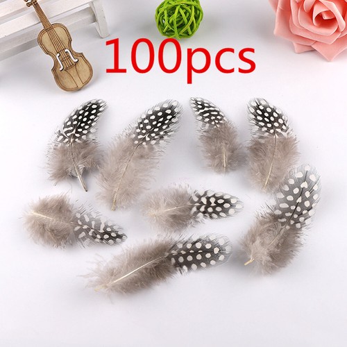 100pcs mixed natural - natural, guinea