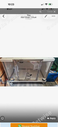 Plaztek heated safe whelp - plaztek,