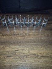 Eternal Beau Whiskey Tumblers