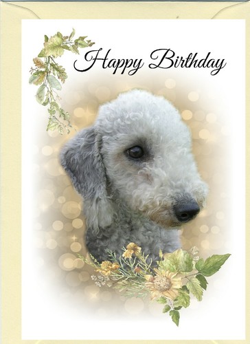 Bedlington terrier dog - bedlington,