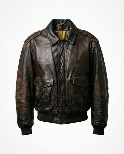 Schott nyc men - men’s, a-2