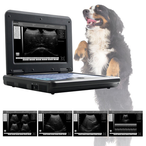 Portable veterinary ultrasound - portable,