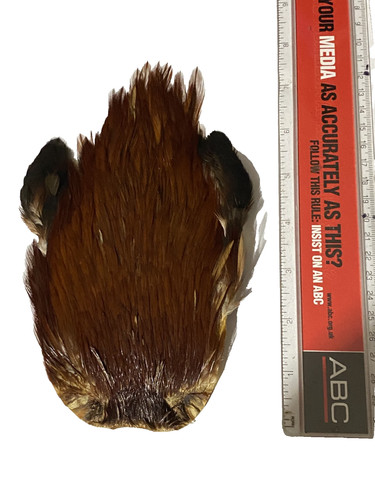 Indian cock cape - cape,