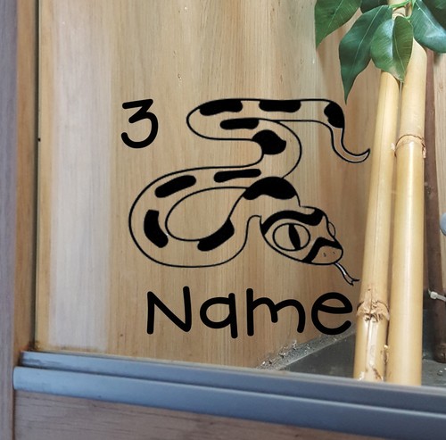 Snake customised vivarium - snake,