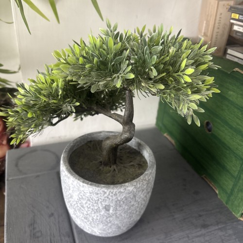 Plastic bonsai tree - bonsai,