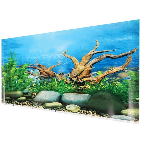 Poster fish tank - 3d, background