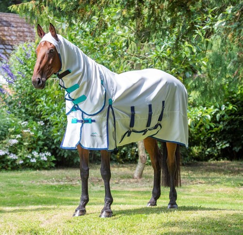 Shires highlander plus - shires,