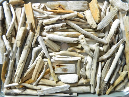 100 driftwood pieces for - 100,