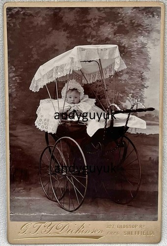 Cabinet card superb pram photo - card,