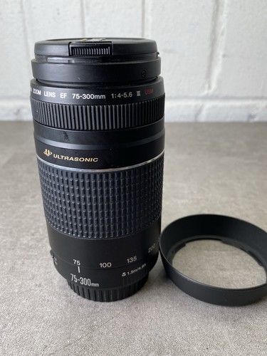 Canon 300mm 5 - 75-300mm, iii