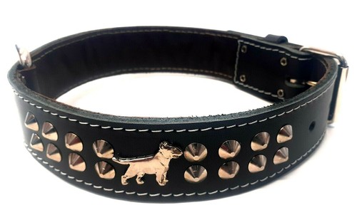 Inch wide studded leather - inch,
