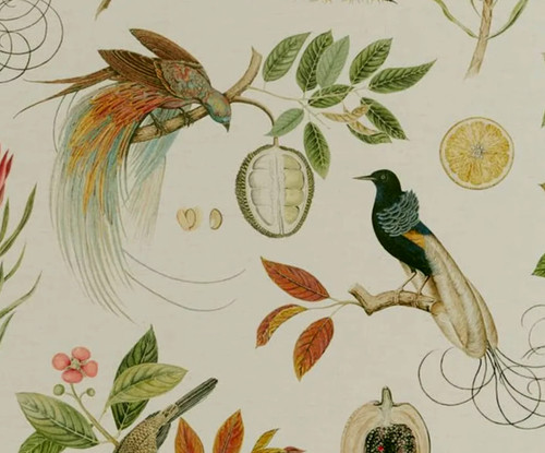 Sanderson curtain fabric - curtain,