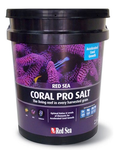Red sea coral pro - red,