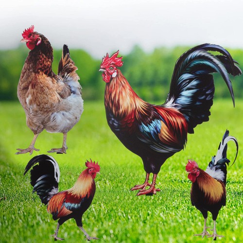 Rooster chicken garden - chicken, stake