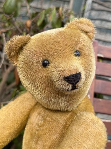 Rare early teddy - rare,