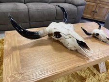 Wall Hanging Ram Bull Cow Goat