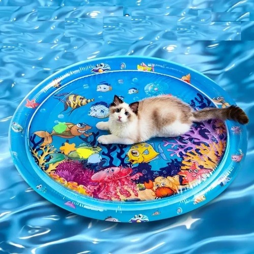 Dog play box - dog,