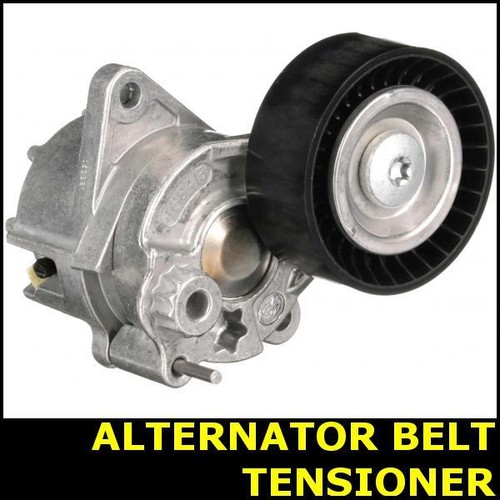 Ribbed belt tensioner - ribbed,