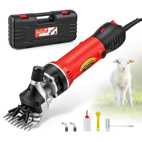 Cgoldenwall electric sheep - electric,