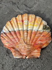 Scallop Sea Shell Hand Painted