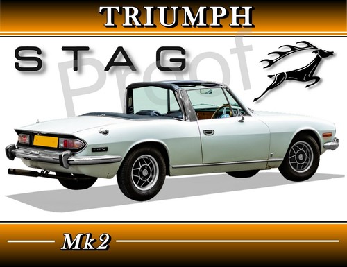 Triumph stag s1136 - stag, 2 