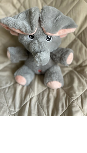Peek boo teddy bear - peek-a-boo, plush