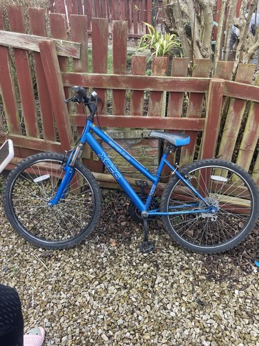 Apollo mountain bike - mountain,