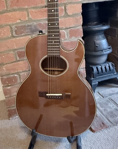 Vintage washburn woodstock - washburn,