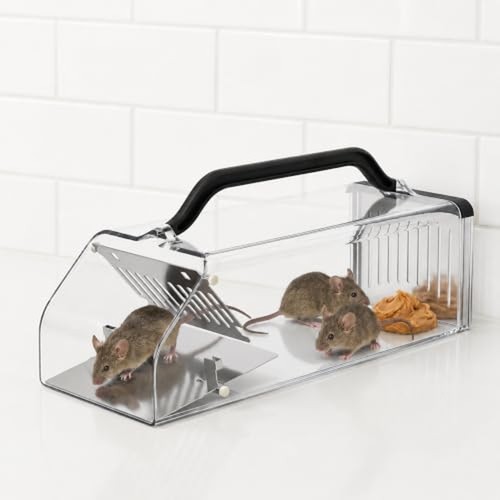 2026 live mouse trap - 2026,