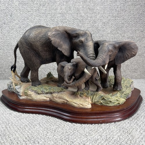 Border fine arts - border,