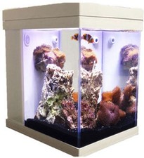 JBJ Aquarium - 3 Gallon Cubey
