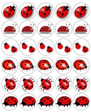 Ladybird Ladybug Cartoon Cupcake Toppers Edible Icing Wafer Decor Bday Party Bug
