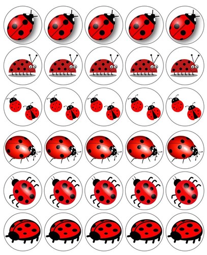 Ladybird ladybug cartoon - ladybird,