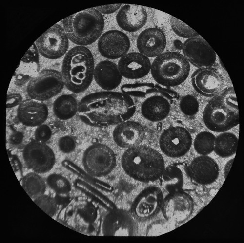 Magic lantern slide - slide, of